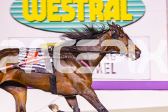 2025_PACEPIX_GP19092025_Race10_AldebaranBoyd_WIN_WEB-16