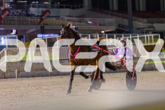 2025_PACEPIX_GP19092025_Race10_AldebaranBoyd_WIN_WEB-3
