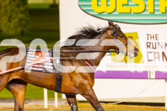2025_PACEPIX_GP19092025_Race10_AldebaranBoyd_WIN_WEB-30