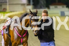 2025_PACEPIX_GP19092025_Race10_AldebaranBoyd_WIN_WEB-35