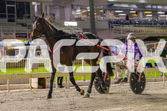 2025_PACEPIX_GP19092025_Race10_AldebaranBoyd_WIN_WEB-38