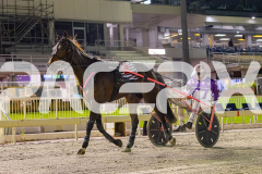 2025_PACEPIX_GP19092025_Race10_AldebaranBoyd_WIN_WEB-39