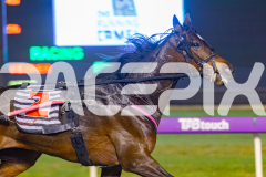 2025_PACEPIX_GP19092025_Race10_AldebaranBoyd_WIN_WEB-8