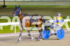 RACE 10 - Amalfi Knight