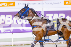 2025_PACEPIX_GP05122025_RACE10_AmalfiKnight_WIN_WEB-12