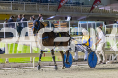 2025_PACEPIX_GP05122025_RACE10_AmalfiKnight_WIN_WEB-13