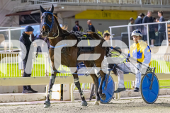 2025_PACEPIX_GP05122025_RACE10_AmalfiKnight_WIN_WEB-14