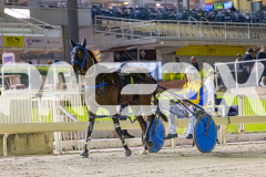 2025_PACEPIX_GP05122025_RACE10_AmalfiKnight_WIN_WEB-15