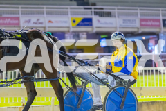2025_PACEPIX_GP05122025_RACE10_AmalfiKnight_WIN_WEB-16