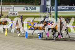 2025_PACEPIX_GP05122025_RACE10_AmalfiKnight_WIN_WEB-3