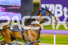 2025_PACEPIX_GP05122025_RACE10_AmalfiKnight_WIN_WEB-9