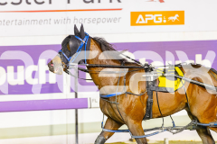 2025_PACEPIX_GP24102025_Race10_AmalfiKnight_WIN_WEB-18