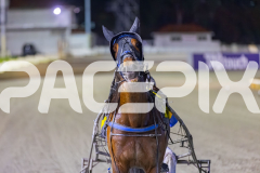 2025_PACEPIX_GP24102025_Race10_AmalfiKnight_WIN_WEB-22