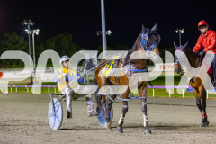 2025_PACEPIX_GP24102025_Race10_AmalfiKnight_WIN_WEB-26