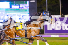 2025_PACEPIX_GP24102025_Race10_AmalfiKnight_WIN_WEB-3