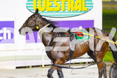 2026_PACEPIX_GP27032026_RACE10_Arum_WIN_WEB-25