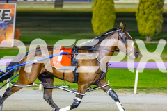 2026_PACEPIX_GP17032026_Race10_BenoaLane_WIN_WEB-19