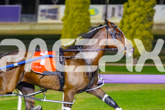 2026_PACEPIX_GP17032026_Race10_BenoaLane_WIN_WEB-5