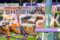 2026_PACEPIX_GP17032026_Race10_BenoaLane_WIN_WEB-9