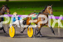 2025_PACEPIX_GP20062025_Race10_BlueBlazer_WIN_WEB-5