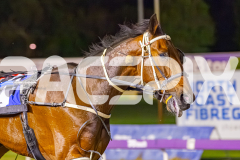 2025_PACEPIX_GP10102025_RACE10_BurghleySHard_WIN_WEB-10