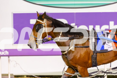 2025_PACEPIX_GP10102025_RACE10_BurghleySHard_WIN_WEB-13