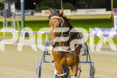 2025_PACEPIX_GP10102025_RACE10_BurghleySHard_WIN_WEB-15