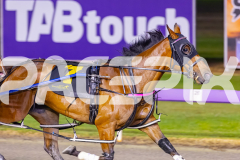 RACE 10 - Captainshavtime
