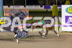 2026_PACEPIX_GP08052026_Race10_Chekker_WIN_WEB-11