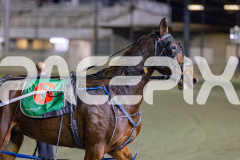 2026_PACEPIX_GP08052026_Race10_Chekker_WIN_WEB-16