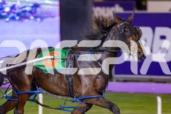 2026_PACEPIX_GP08052026_Race10_Chekker_WIN_WEB-4