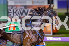 2026_PACEPIX_GP08052026_Race10_Chekker_WIN_WEB-5