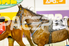 2025_PACEPIX_GP04072025_Race10_Chekker_WIN_WEB-11