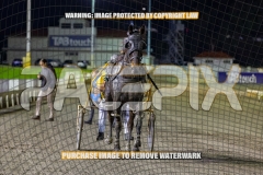 2026_PACEPIX_GP02102026_Race10_ColdHardCash_WIN_WEB-13