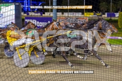 2026_PACEPIX_GP02102026_Race10_ColdHardCash_WIN_WEB-7
