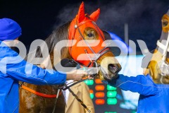 2025_PACEPIX_GP25072025_Race10_Dreambigaimhigh_WIN_WEB-15