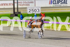2025_PACEPIX_GP25072025_Race10_Dreambigaimhigh_WIN_WEB-2