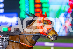 2025_PACEPIX_GP25072025_Race10_Dreambigaimhigh_WIN_WEB-8