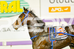 2025_PACEPIX_GP13062025_RACE10_ElMystro_WIN_WEB-15