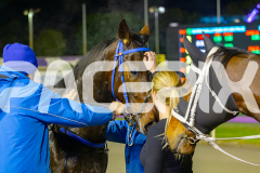 2025_PACEPIX_GP13062025_RACE10_ElMystro_WIN_WEB-18