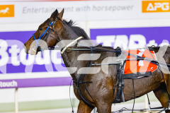 2026_PACEPIX_GP15052026_RACE10_ElRayesGirl_WIN_WEB-11