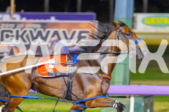 2026_PACEPIX_GP28022026_RACE10_GirlOfBrightness_WIN_WEB-5
