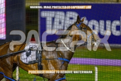 2026_PACEPIX_GP30102026_RACE10_GraceElla_WIN_WEB-11