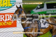 2026_PACEPIX_GP30102026_RACE10_GraceElla_WIN_WEB-13