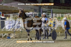 2026_PACEPIX_GP30102026_RACE10_GraceElla_WIN_WEB-17