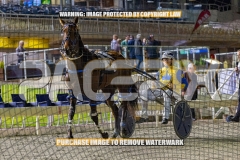 2026_PACEPIX_GP30102026_RACE10_GraceElla_WIN_WEB-18