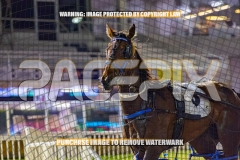 2026_PACEPIX_GP30102026_RACE10_GraceElla_WIN_WEB-19