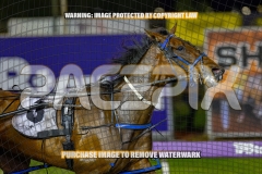 2026_PACEPIX_GP30102026_RACE10_GraceElla_WIN_WEB-4