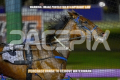 2026_PACEPIX_GP30102026_RACE10_GraceElla_WIN_WEB-5