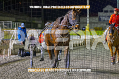 RACE 10 - Grumpee